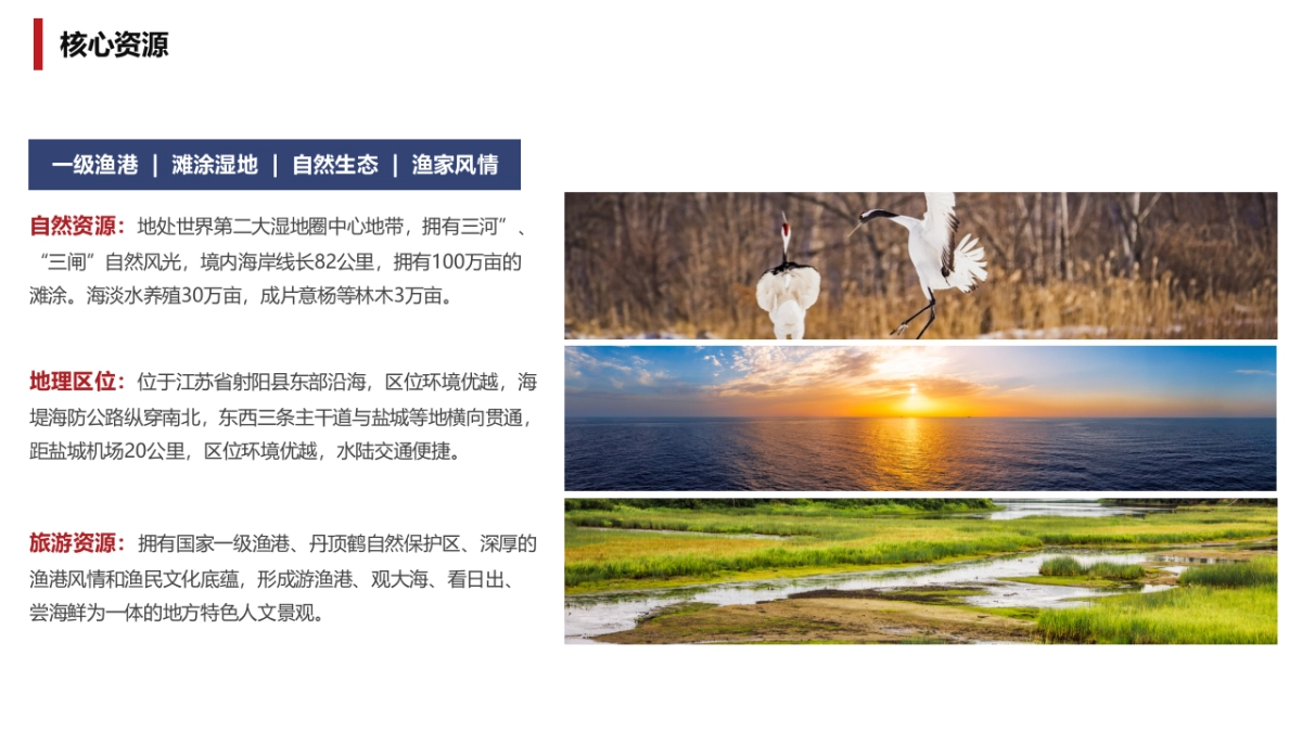 滨海渔港乡村旅游目的地品牌运营提升建议方案_第6页