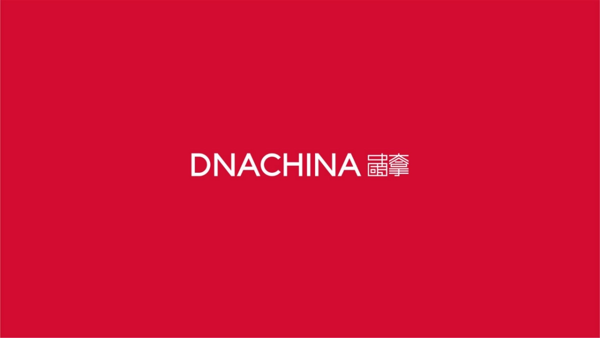 大拿中国DNACHINA-长房集团2020年品牌整合推广全案_第1页