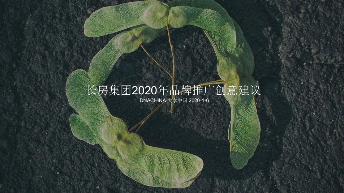 大拿中国DNACHINA-长房集团2020年品牌整合推广全案_第4页
