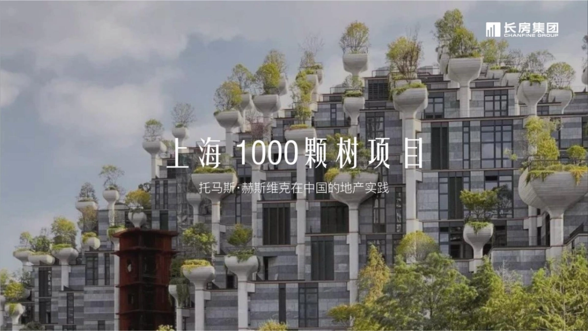 大拿中国DNACHINA-长房集团2020年品牌整合推广全案_第6页