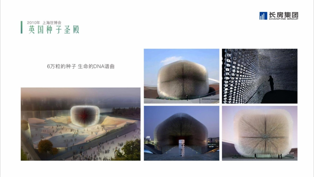 大拿中国DNACHINA-长房集团2020年品牌整合推广全案_第9页