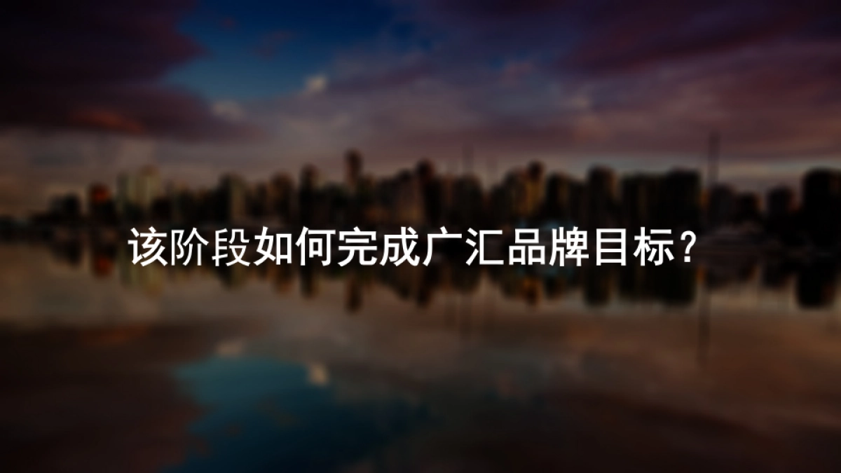 古怪科技-广汇品牌网络推广方案_第9页