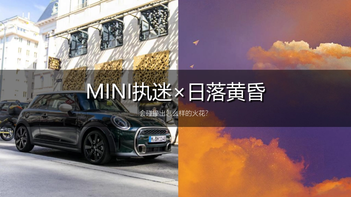 豪华车品牌特别车型发布会“灵感花园派对”主题活动策划方案_第5页