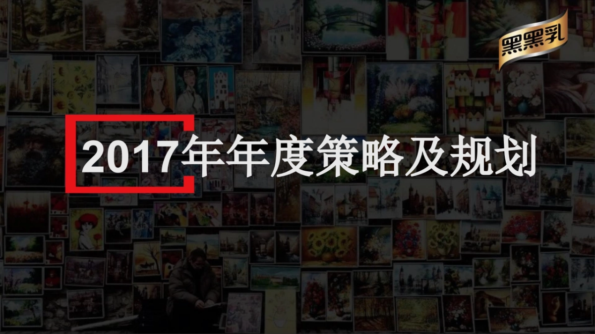 黑黑乳品牌营销策略及规划_第1页