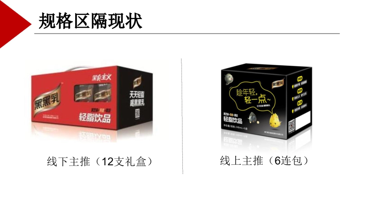 黑黑乳品牌营销策略及规划_第9页