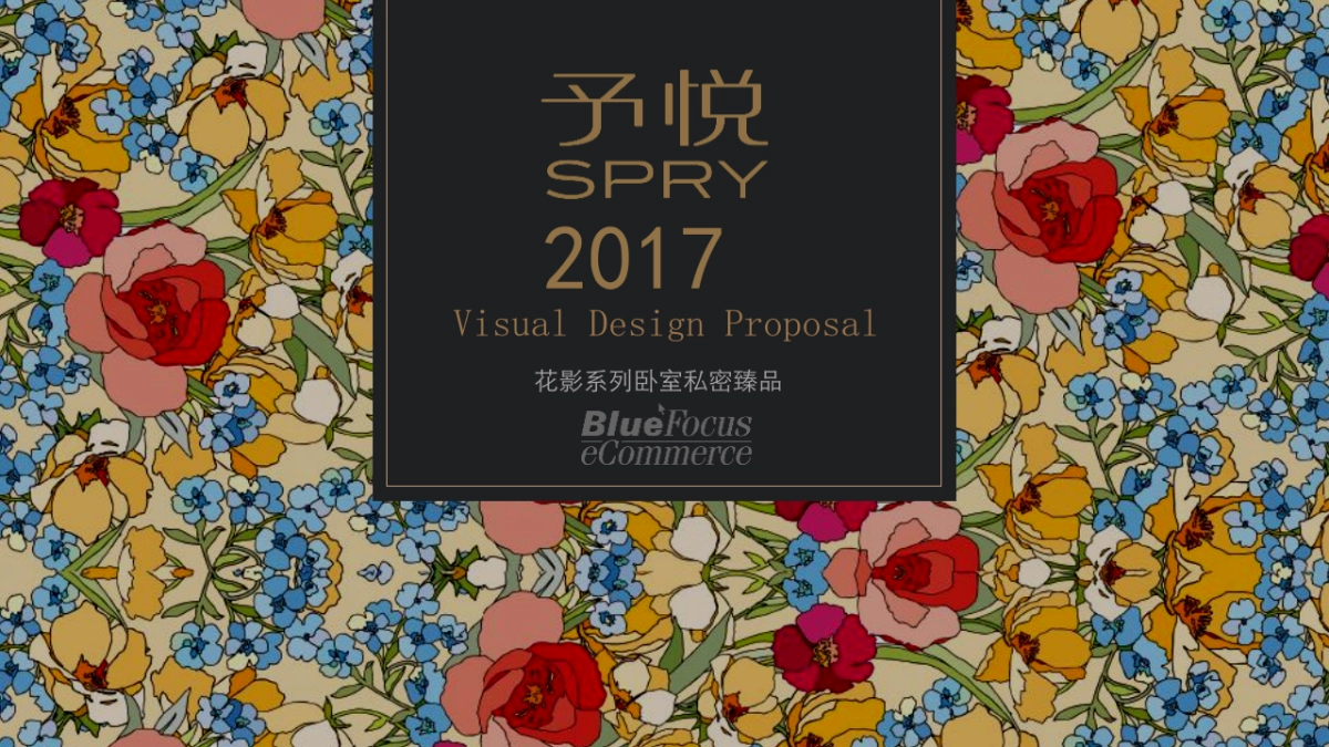 华劲花影系列品牌抽纸全案提案（外传踢）_第1页