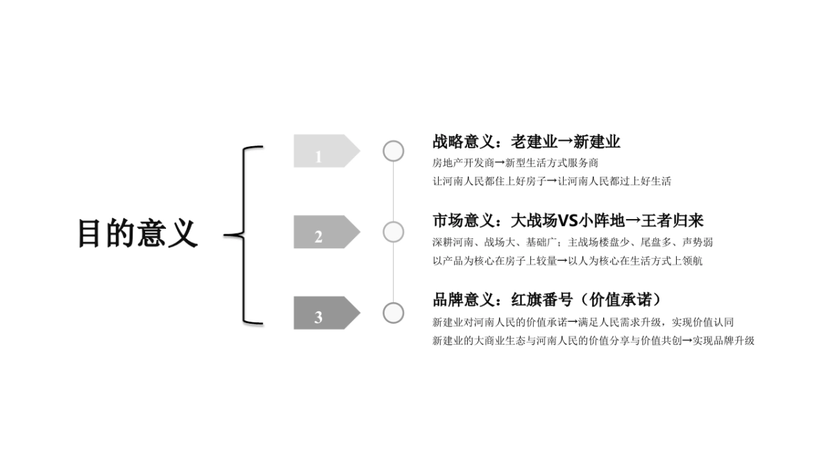 建业年度品牌推广战役方案_第4页
