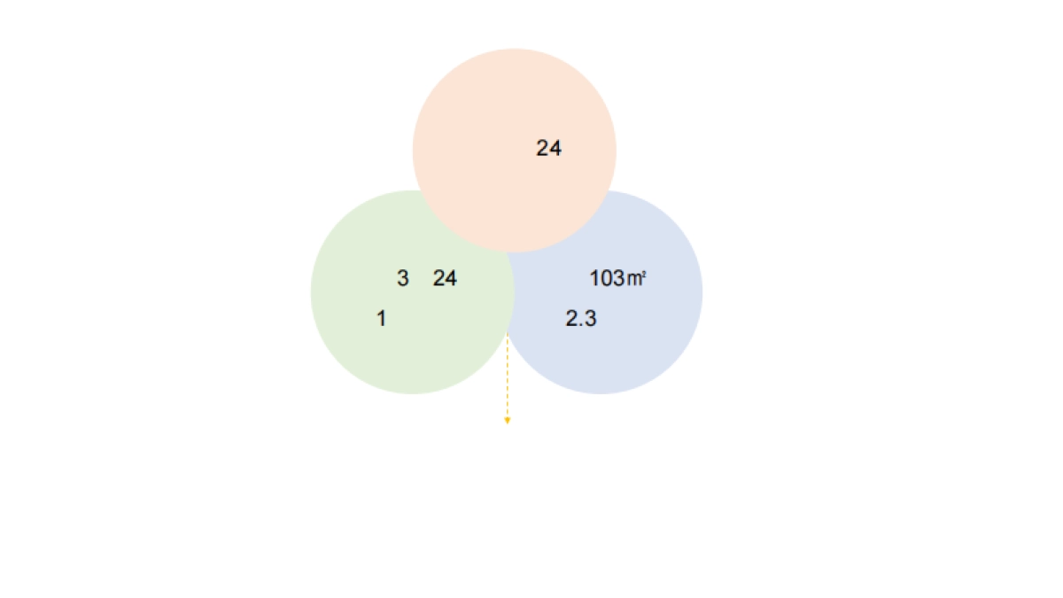 2020海南臻园年度方案_第9页