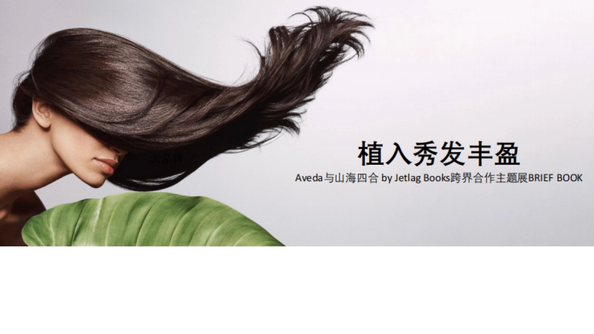 Aveda Jetlag KOL briefing book-0301_第1页
