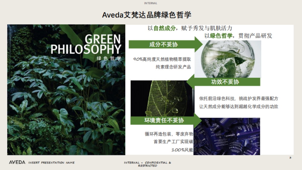 Aveda Jetlag KOL briefing book-0301_第3页