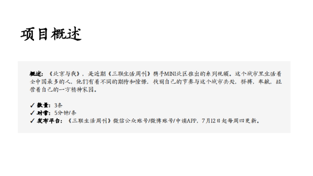 MINI结案报告_第2页