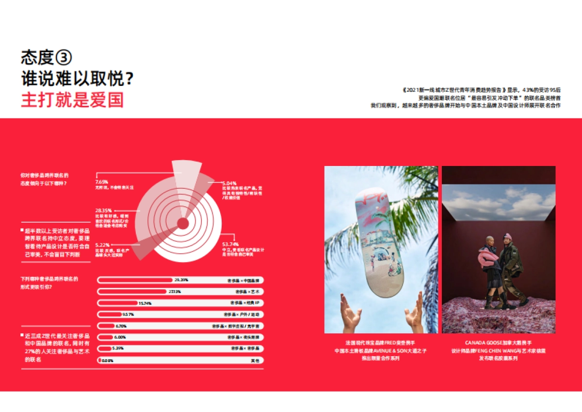 Z世代五个消费态度_第6页