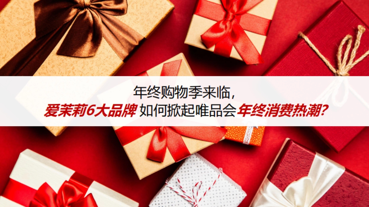 爱茉莉集团12月大牌日_第10页