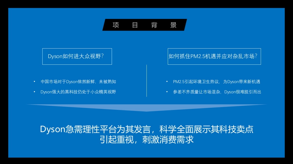 戴森 @知乎案例分享_第3页