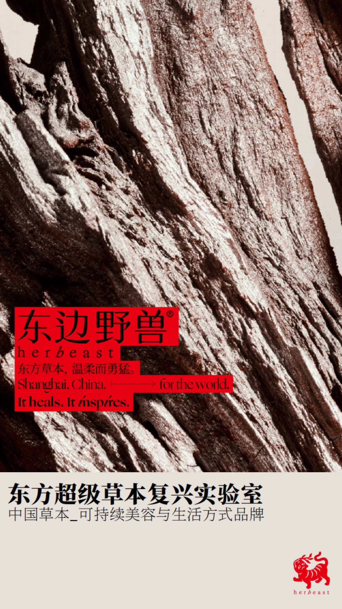 东边野兽BrandBook_第1页