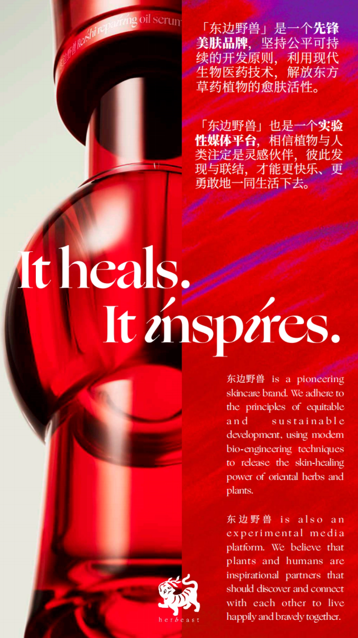 东边野兽BrandBook_第5页