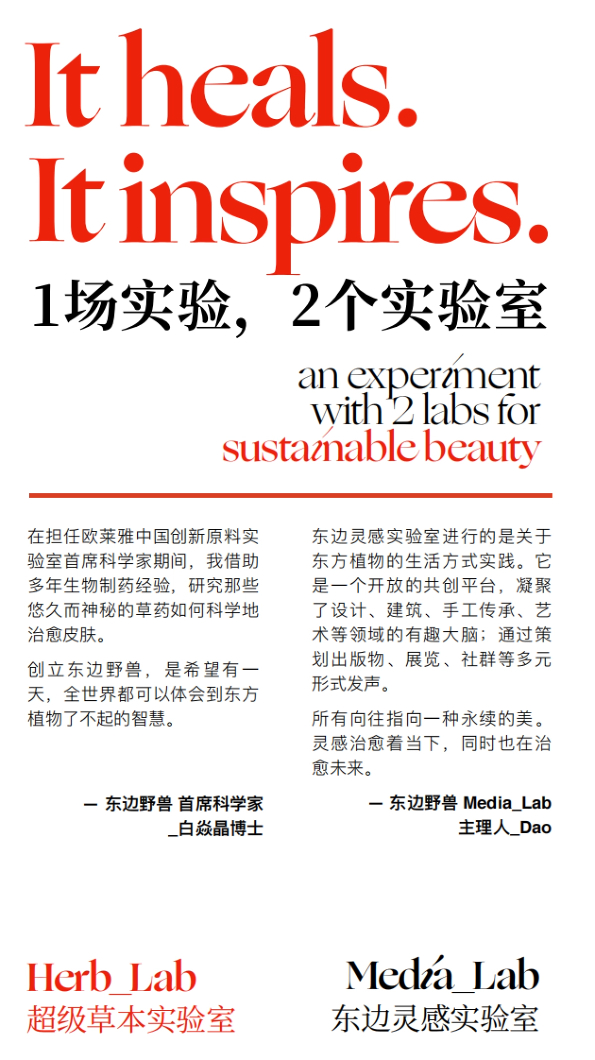 东边野兽BrandBook_第8页