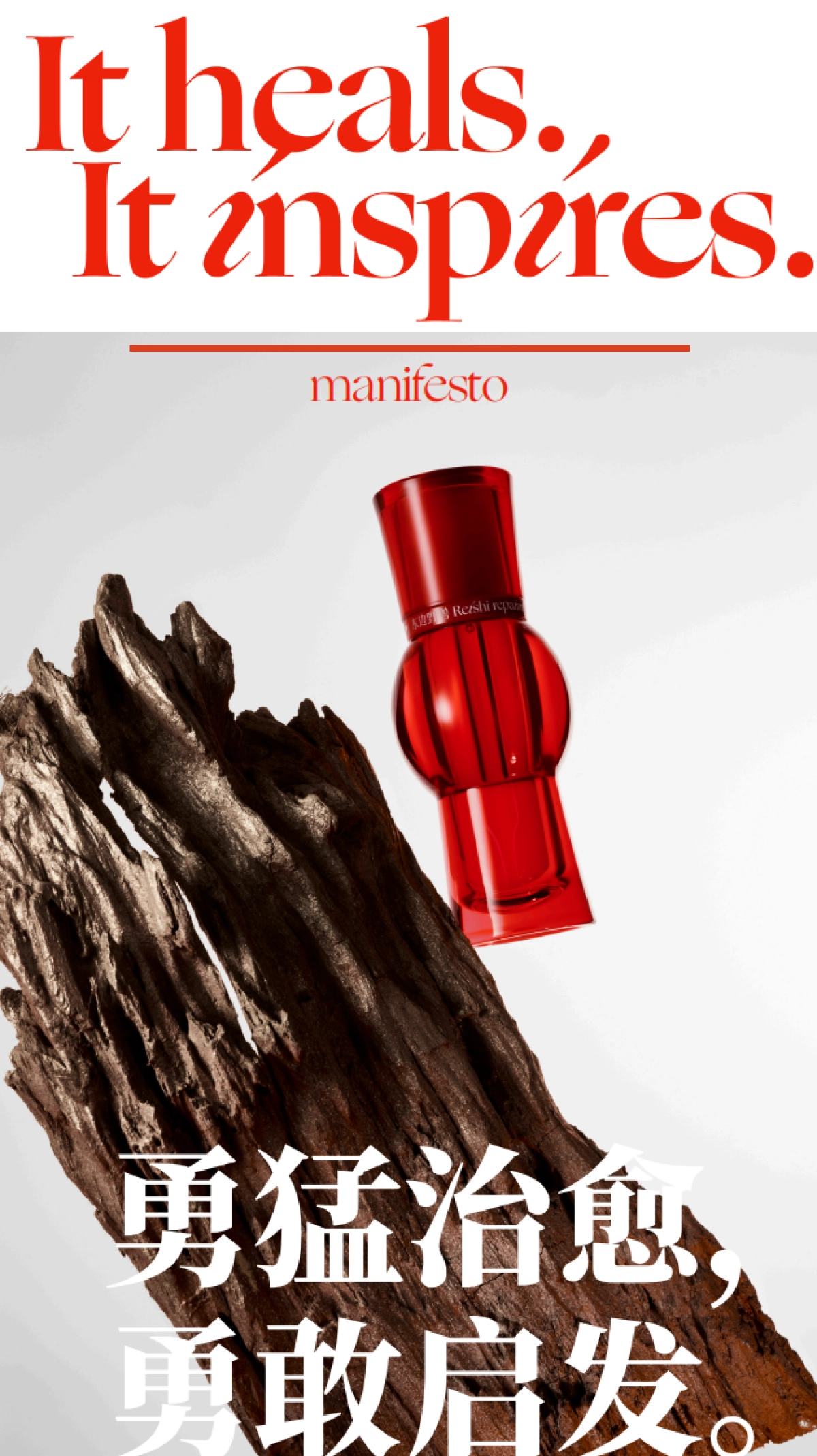 东边野兽BrandBook_第9页