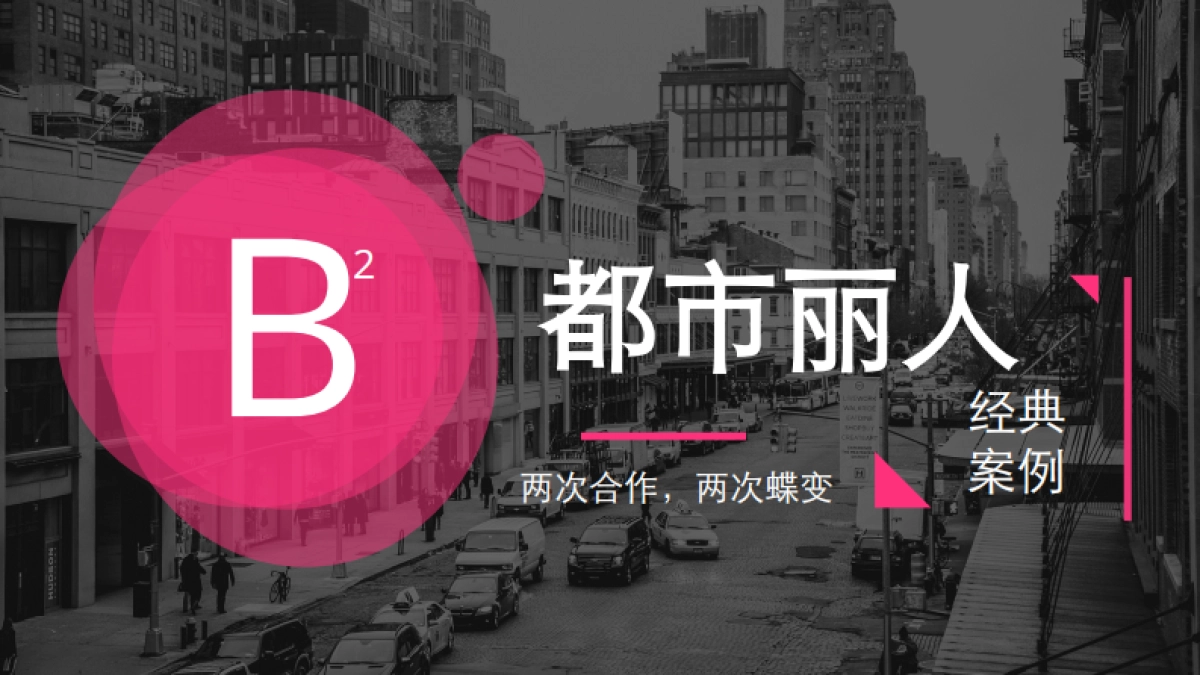 都市丽人案例总结_第1页