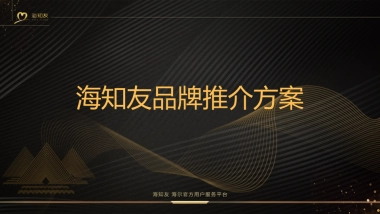 海知友推介资料