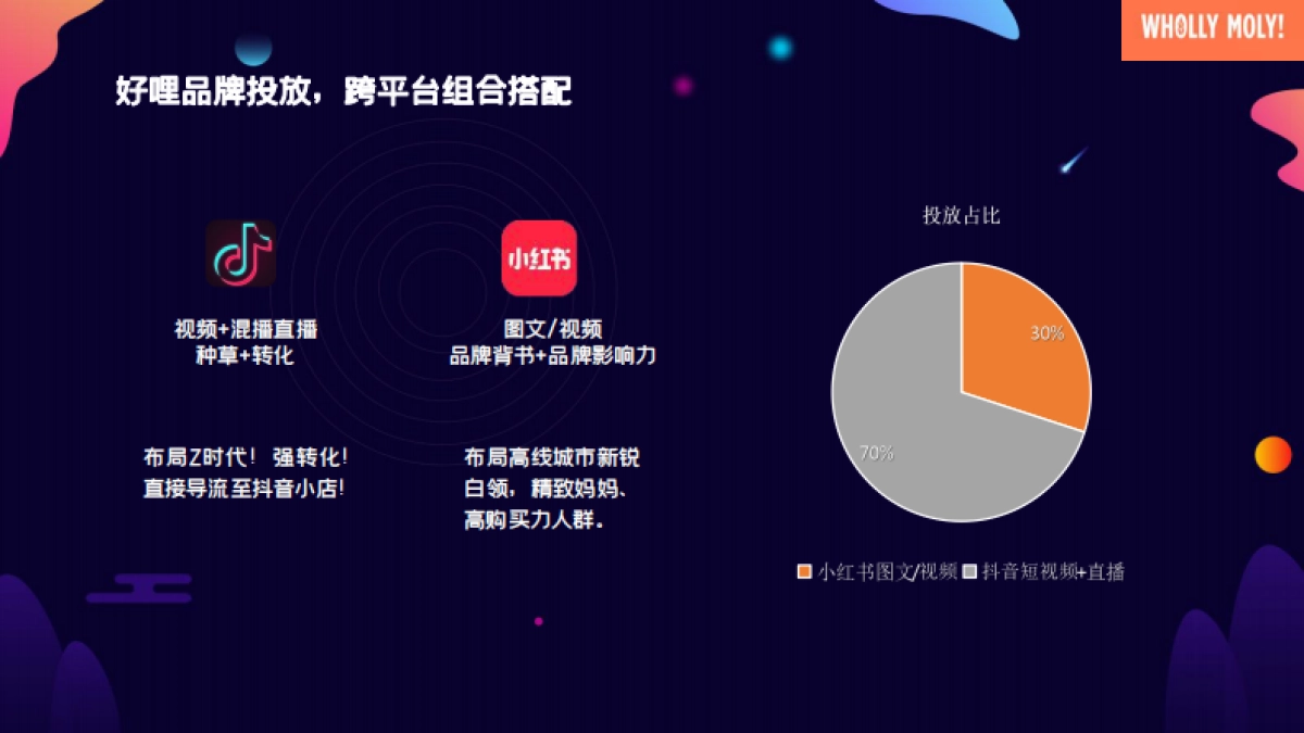 好哩方案_第7页