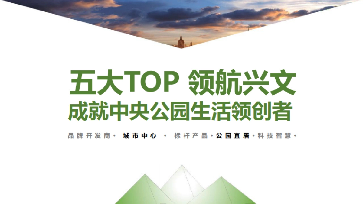 2020泰诚中央公园开盘前营销执行策略_第5页