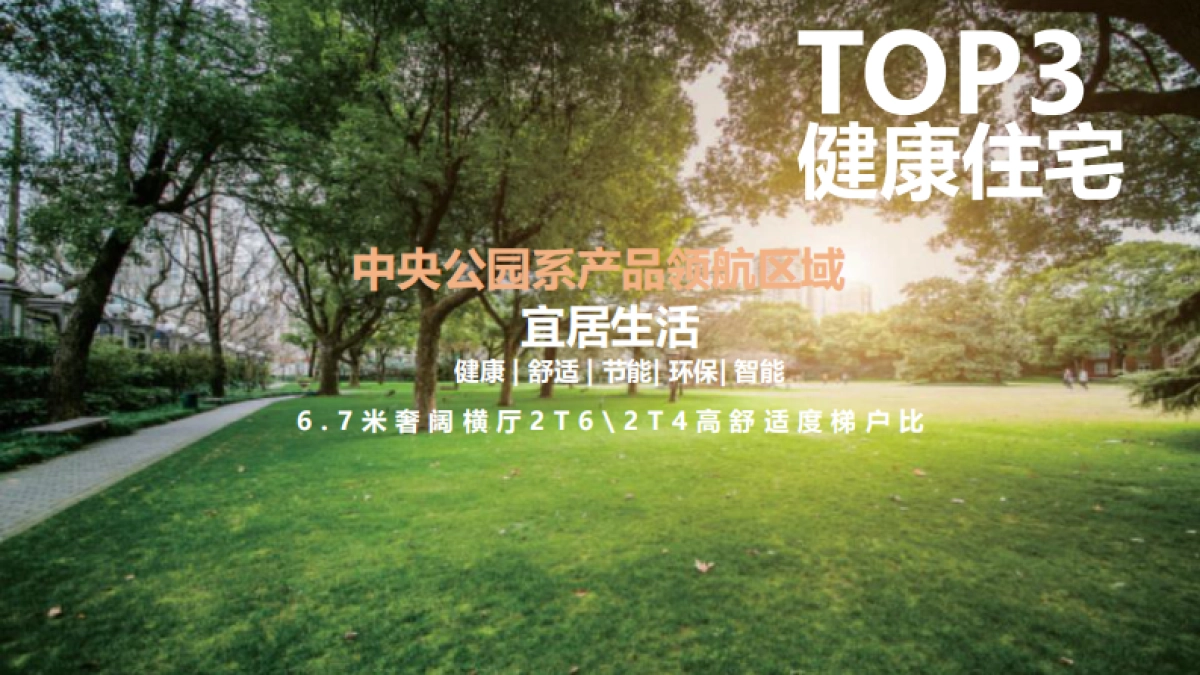 2020泰诚中央公园开盘前营销执行策略_第8页