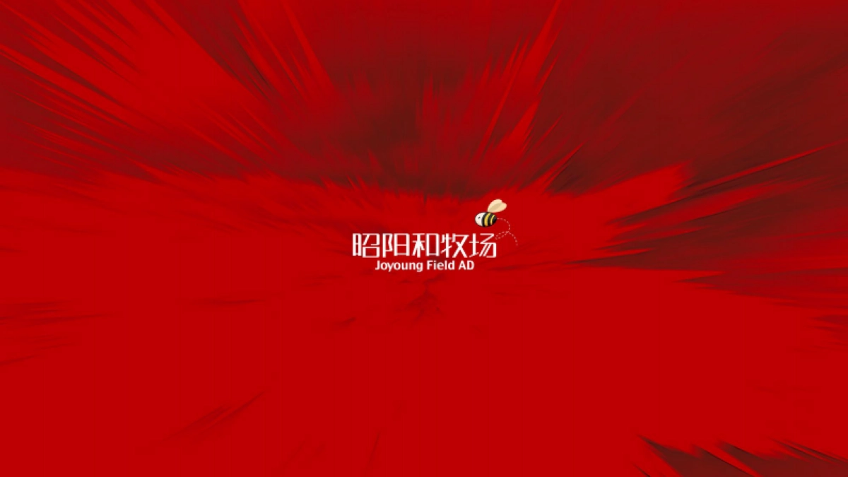 2021美学豪宅执行推广细化方案_第1页