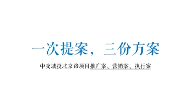 2022年1号院营销推广执行策略方案
