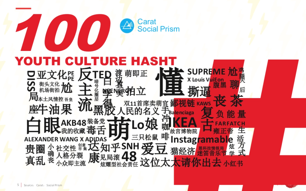 多力花生油媒介投放执行全案_第5页