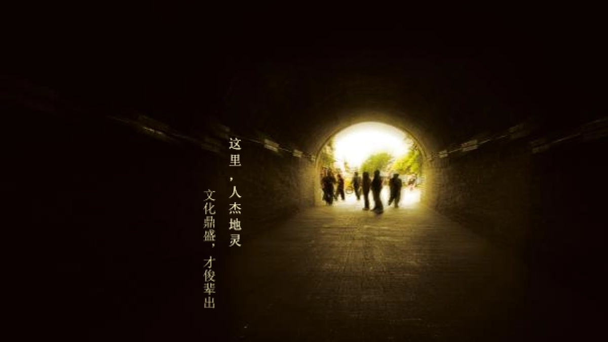 深圳第一生产力-布山古郡推广执行方案_第10页