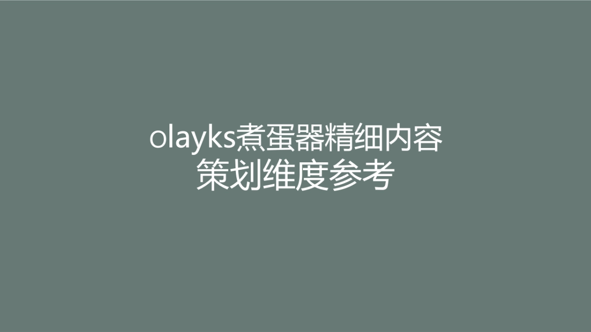 Olayks煮蛋器精细内容策划维度参考_第1页