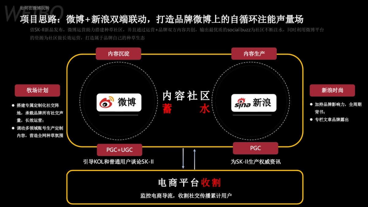 SKⅡ种草计划结案报告_第2页