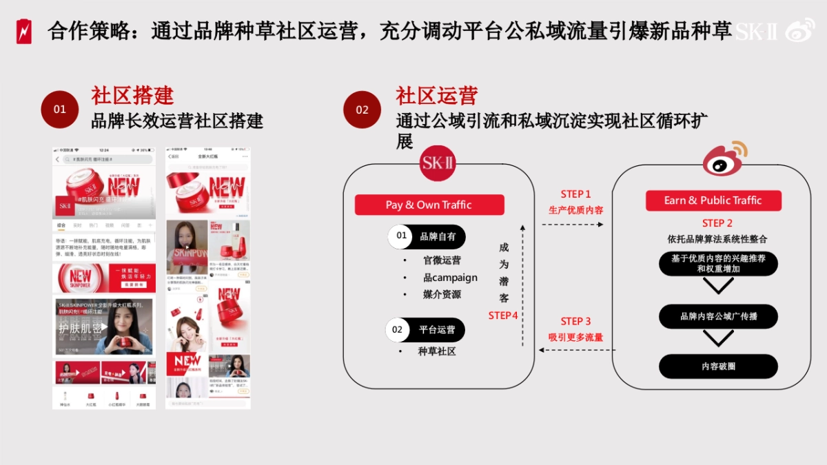 SKⅡ种草计划结案报告_第3页