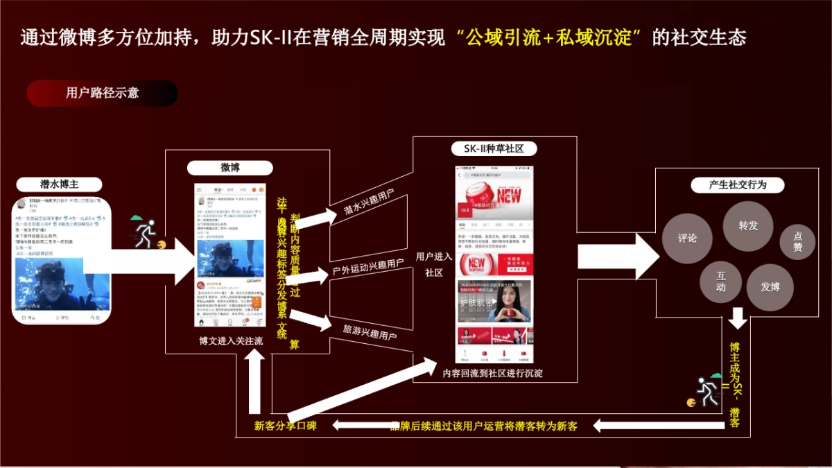 SKⅡ种草计划结案报告_第4页