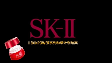 SKⅡ种草计划结案报告