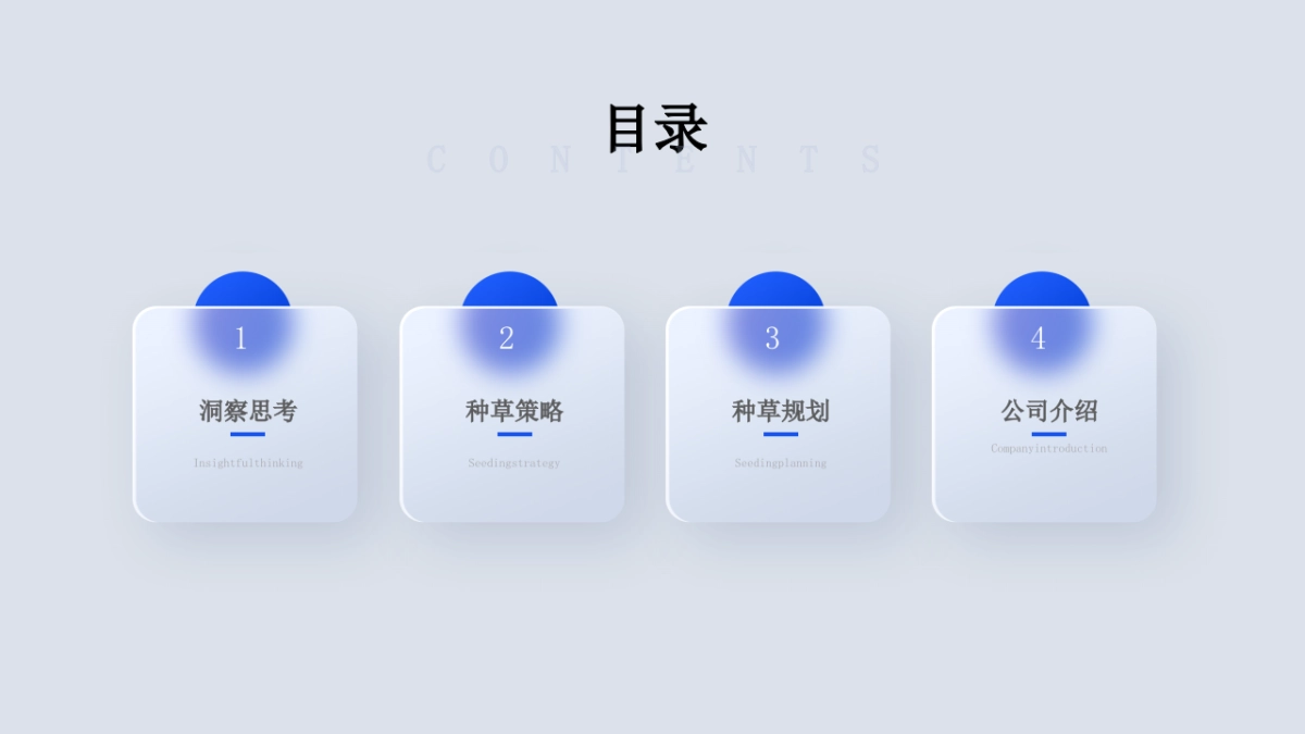 时献果酸面膜小红书种草方案_第2页