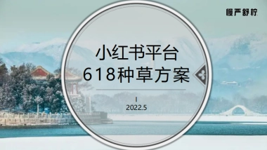 慢严舒柠-小红书618造势种草方案