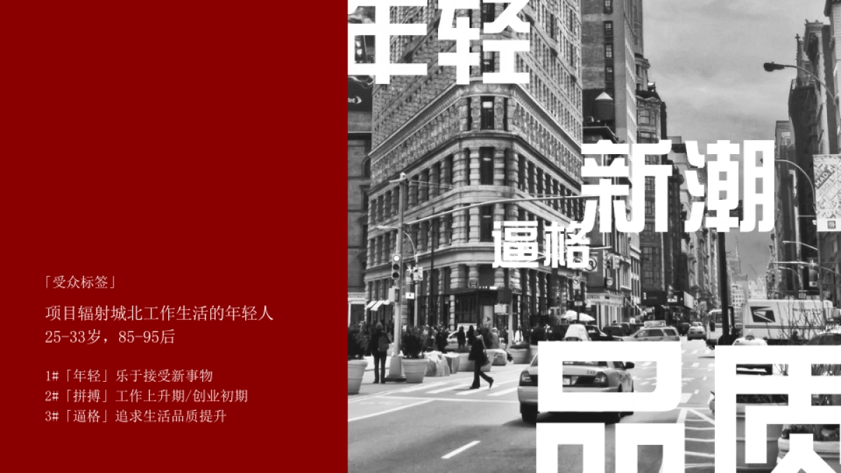 【开放】年轻风DNA某住宅房企项目售楼部开放活动_第3页