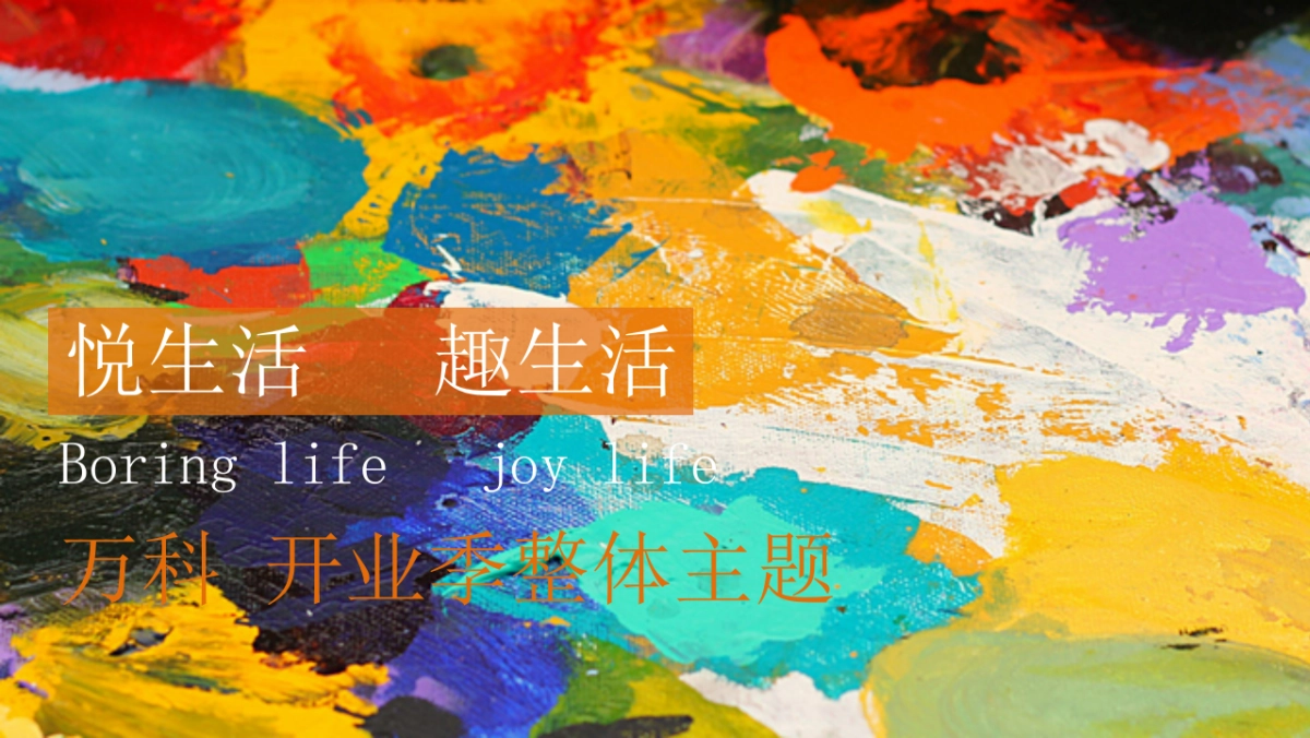 2019商业广场开业推广概案_第5页