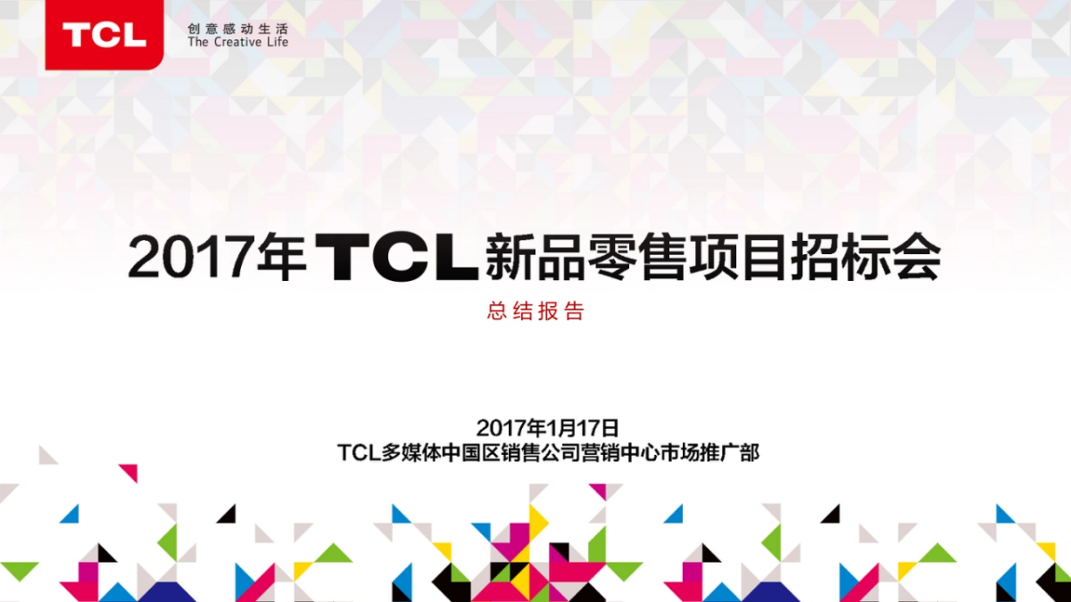 TCL新品零售项目招标会总结报告_第1页