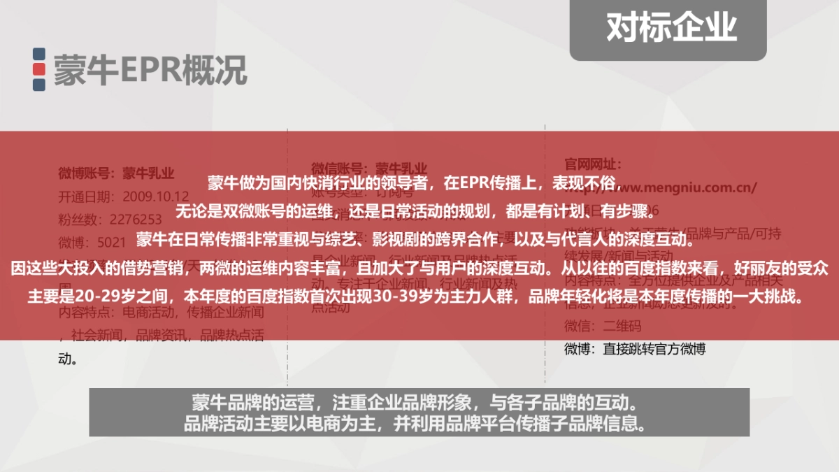 好丽友EPR规划方案A_第10页