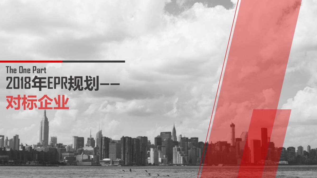 好丽友EPR规划方案A_第2页