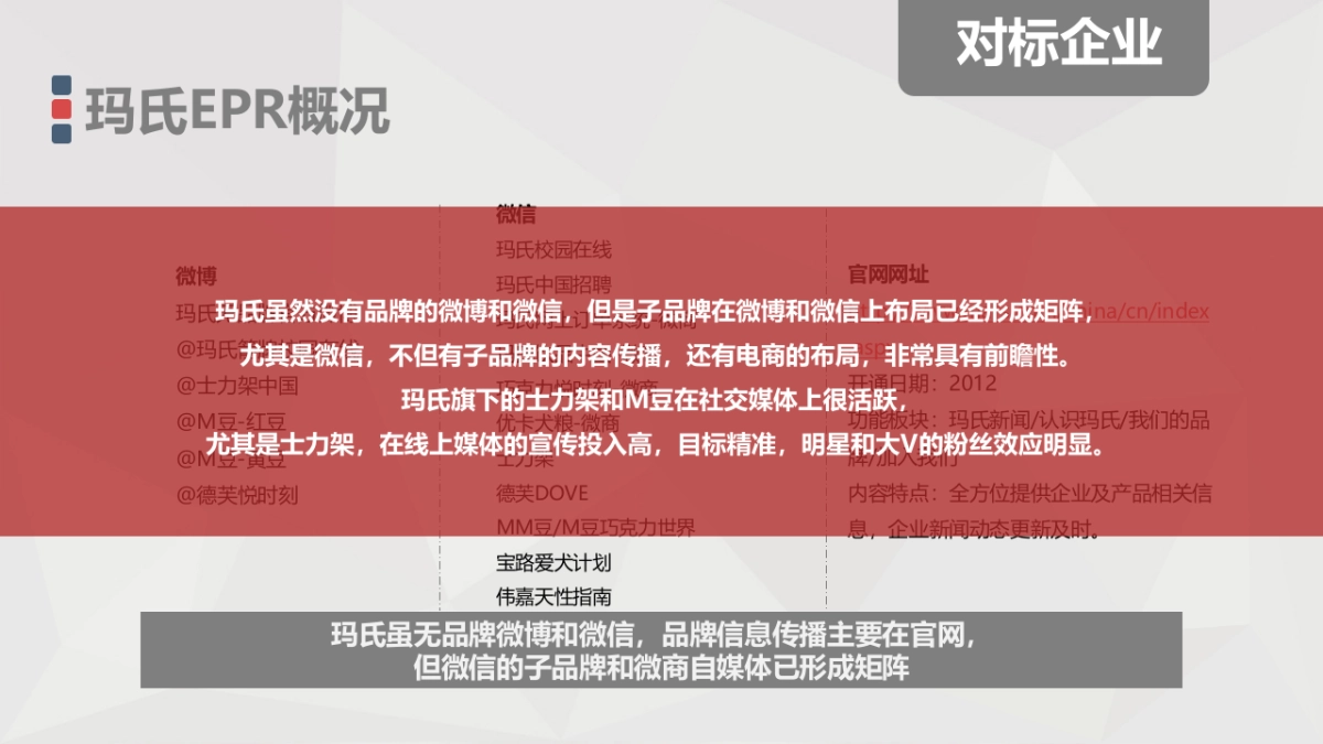 好丽友EPR规划方案A_第7页