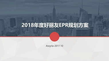 好丽友EPR规划方案A