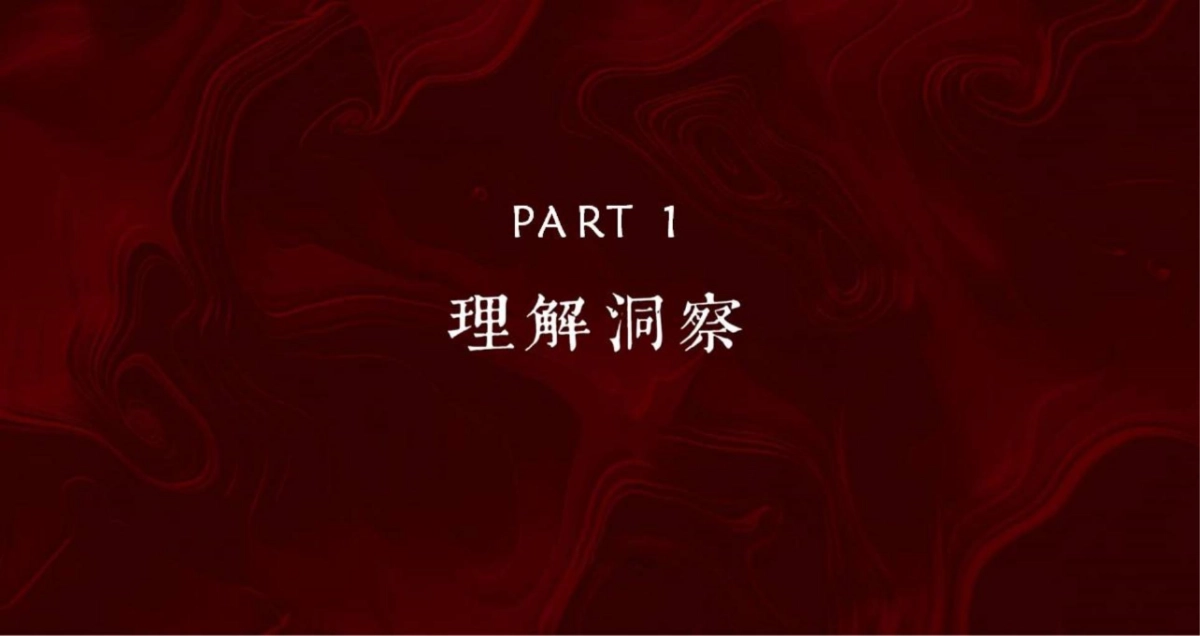 和声机构-皖新商业街（三街四巷）项目推广策略提报_第2页