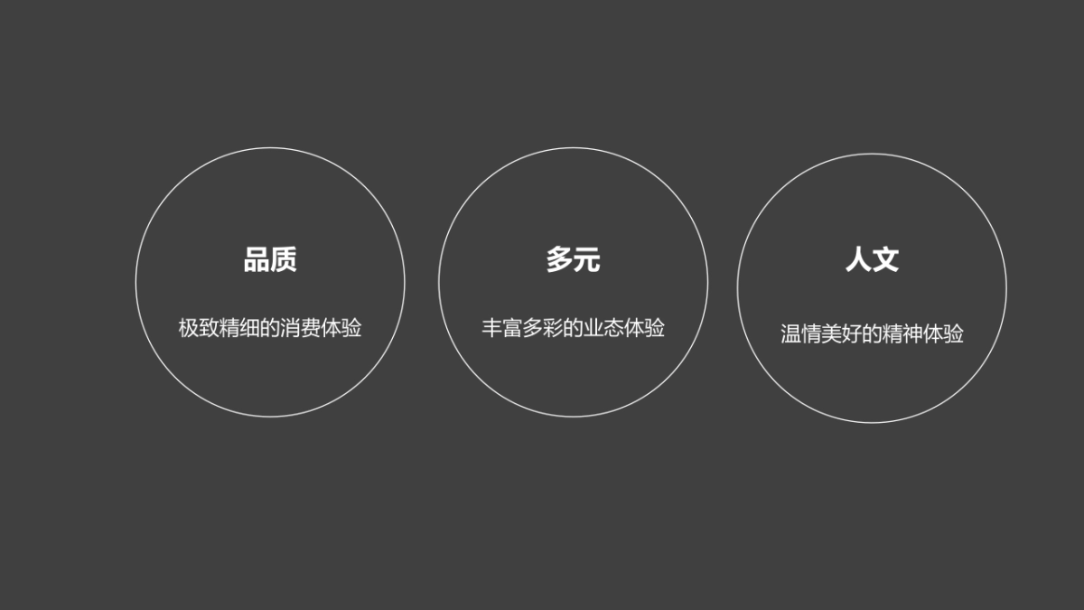 深圳大仟里光明商业品牌策略推广提报_第3页