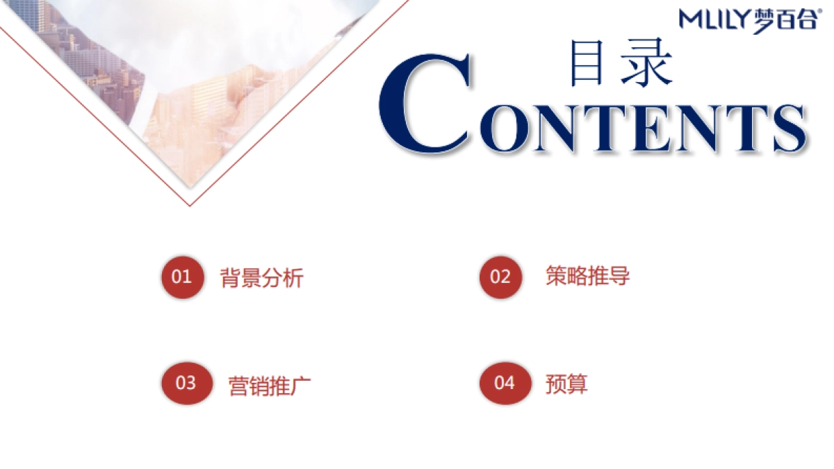 2020年梦百合床618项目_第4页