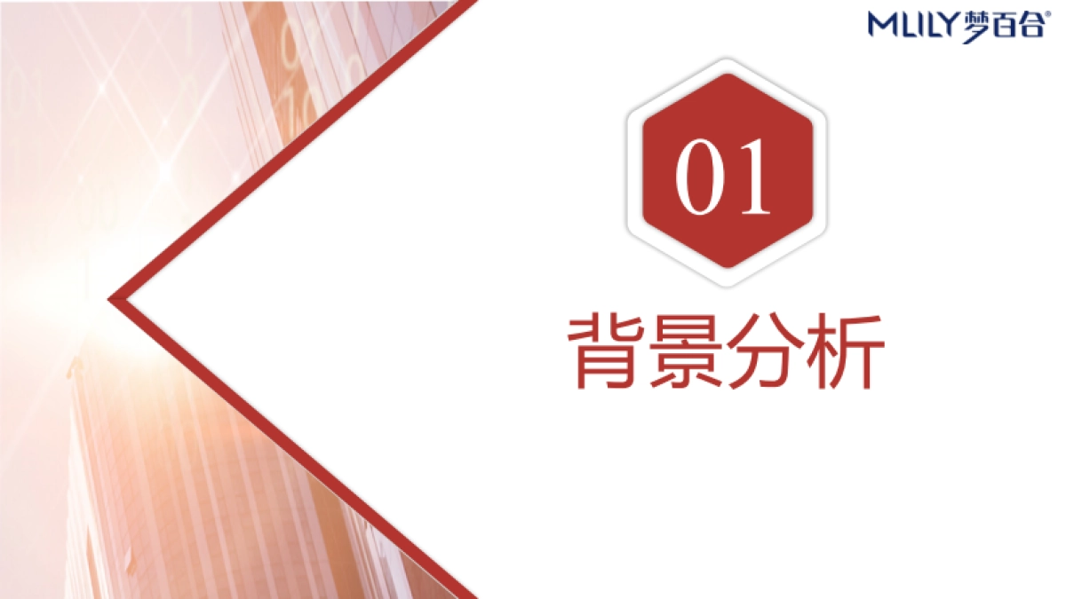 2020年梦百合床618项目_第5页