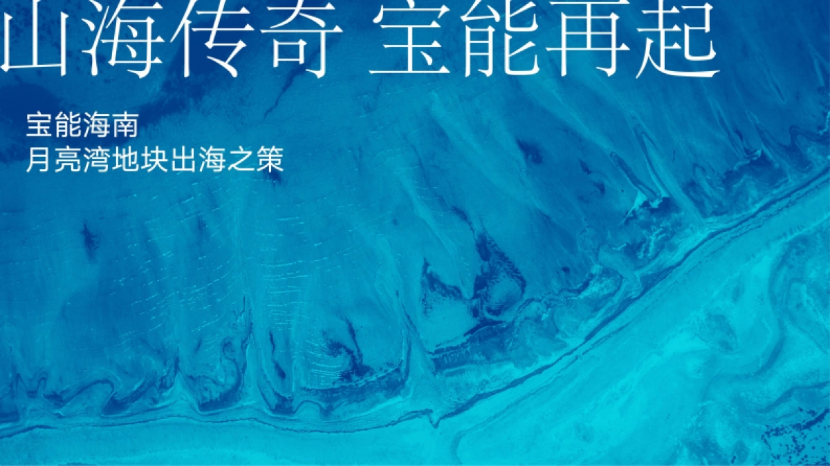 2022宝能海南项目竞标方案_第4页